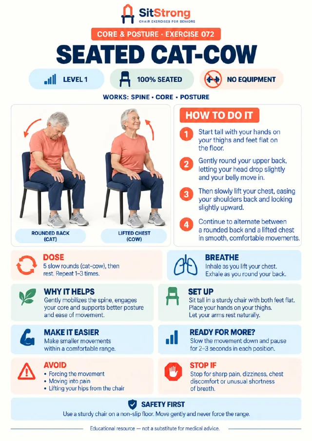 SitStrong exercise page: Seated Cat-Cow